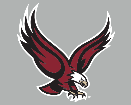 EAGLES block wordmark, white/gold on maroon variant, cell 104