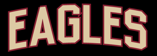 EAGLES arched block wordmark, gold/white on black variant, cell 104