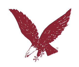 flying eagle silhouette, standard variant, cell 402