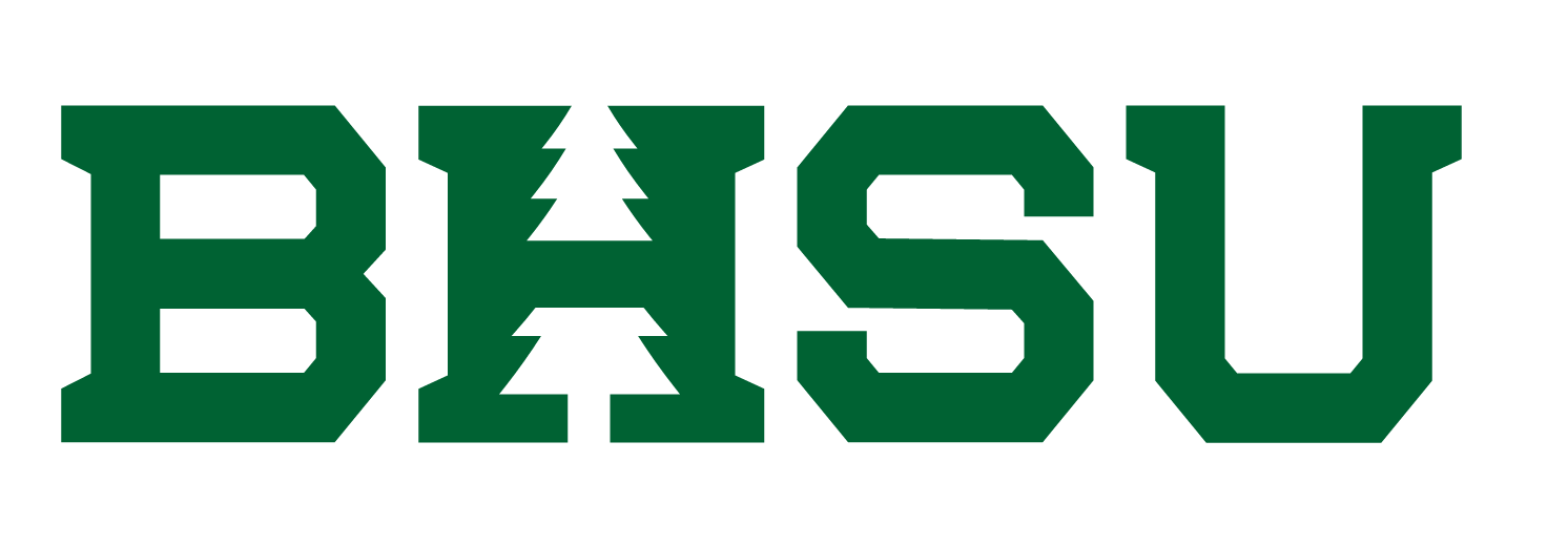 BHSU wordmark, green variant