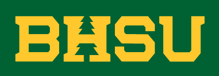 BHSU wordmark, yellow on green variant