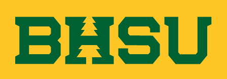 BHSU wordmark, green on yellow variant