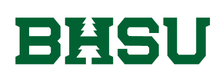 BHSU wordmark, green variant