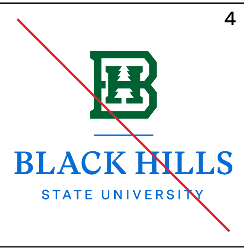 BHSU primary logo, incorrect color combination variant, cell 4