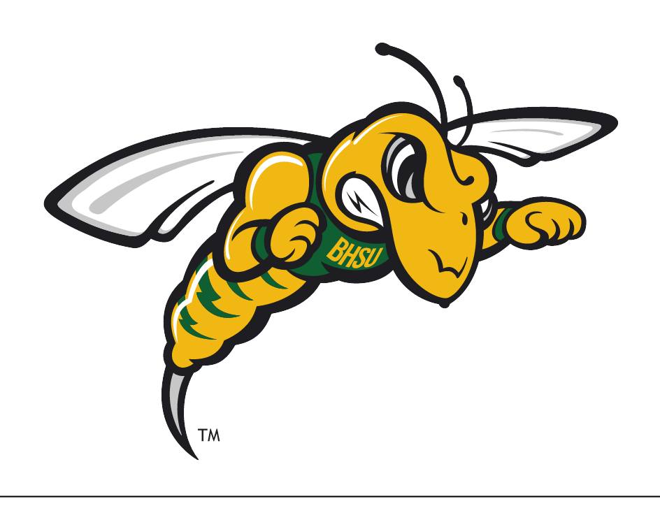 Yellow Jacket mascot, full color variant