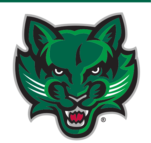 bearcat head icon, full color variant, cell 13