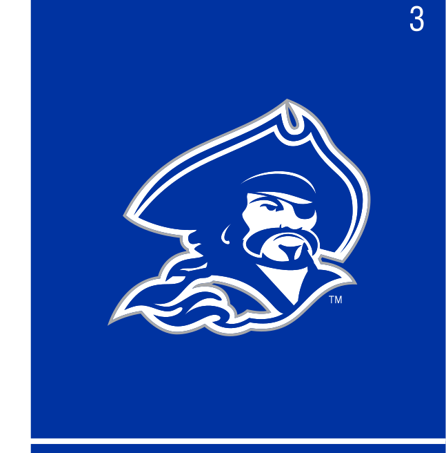 Buccaneers mascot head, full color on navy variant, cell 32