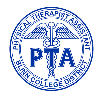 Physical Therapist Assistant patch, blue variant, cell 194