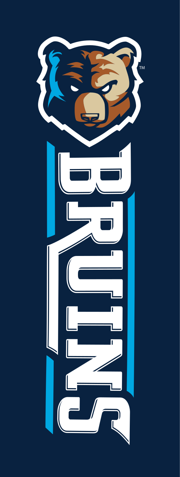 Vertical Bruins wordmark with mascot, full color variant, cell 34