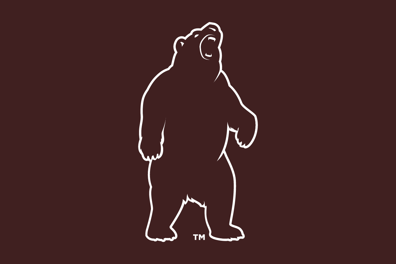 bear mascot, brown, reverse variant, cell 6