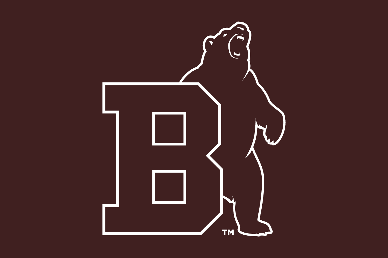 lettermark B with bear mascot, brown, reverse variant, cell 10