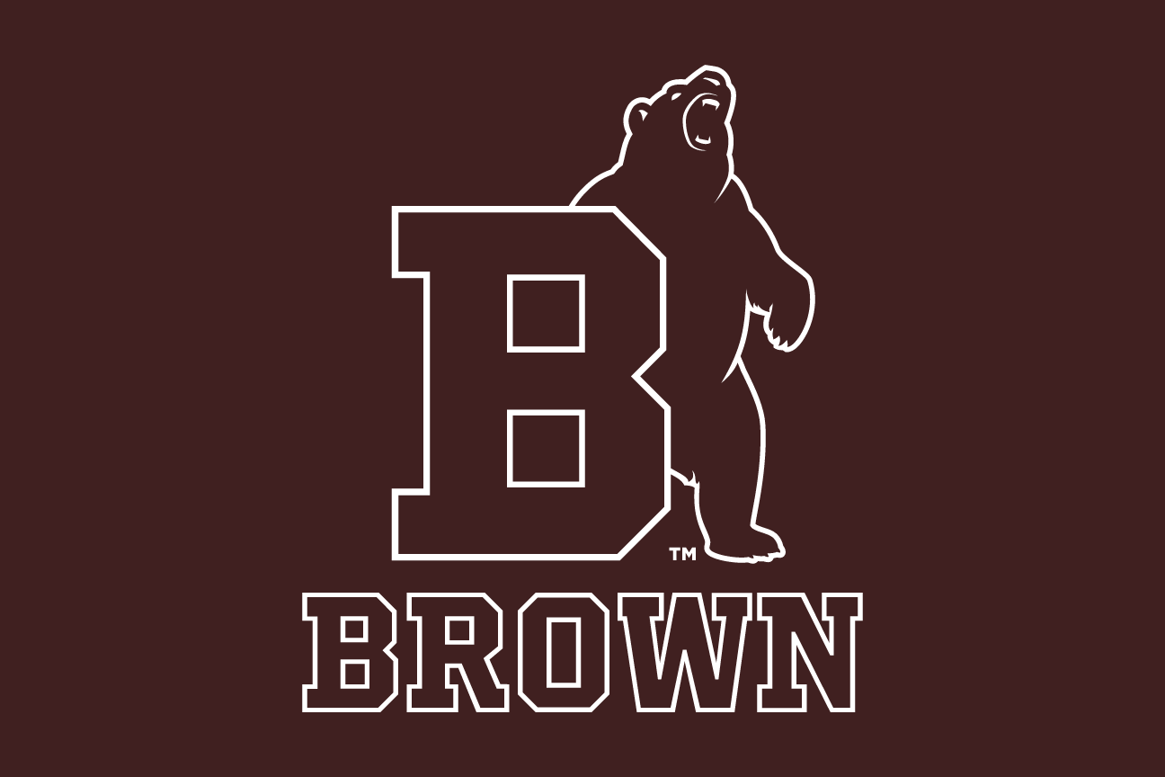 lettermark B with bear mascot and wordmark, brown, reverse variant, cell 14