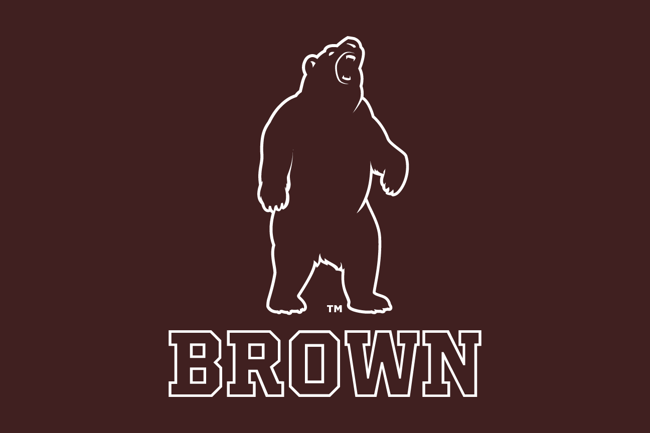 bear mascot with wordmark, brown, reverse variant, cell 16