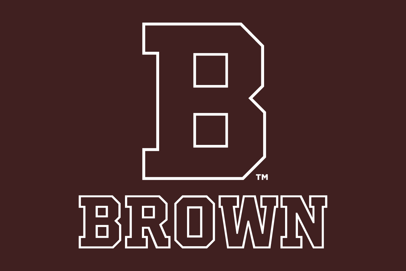 lettermark B with wordmark, brown, reverse variant, cell 20