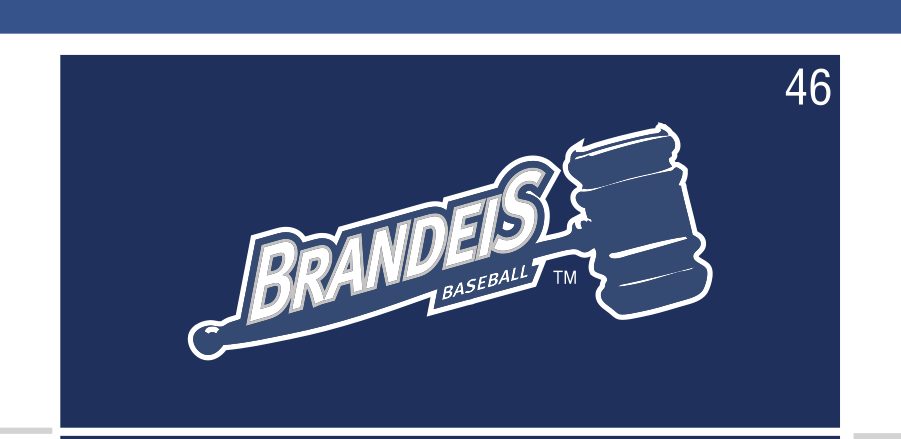Brandeis Baseball logo, white on navy variant, cell 46