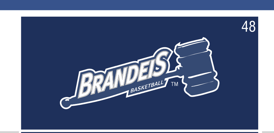 Brandeis Basketball logo, white on navy variant, cell 48