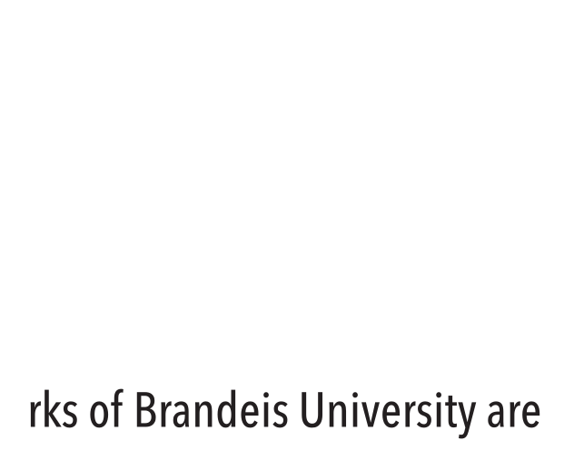 Brandeis Gavel sport lockup, Men's Soccer, reverse variant, cell 62