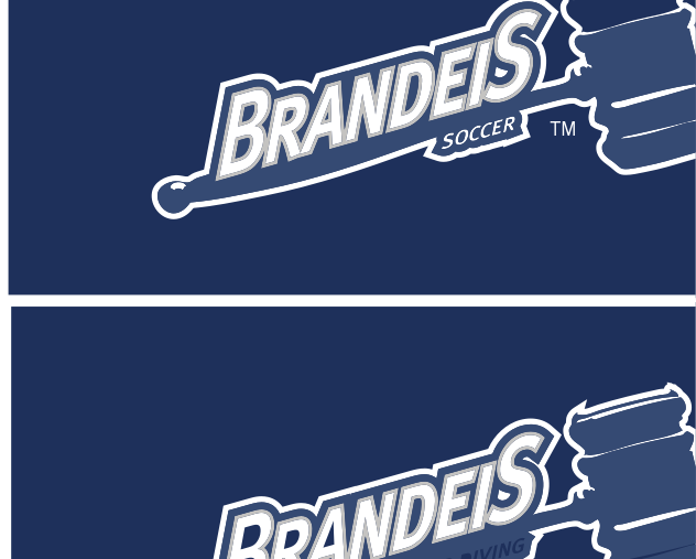 Brandeis Gavel sport lockup, Volleyball, reverse variant, cell 76