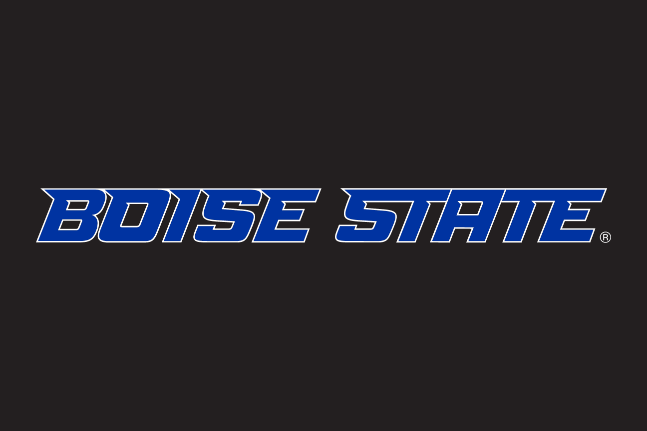 Boise State Word Mark, white and orange on navy variant, cell 29