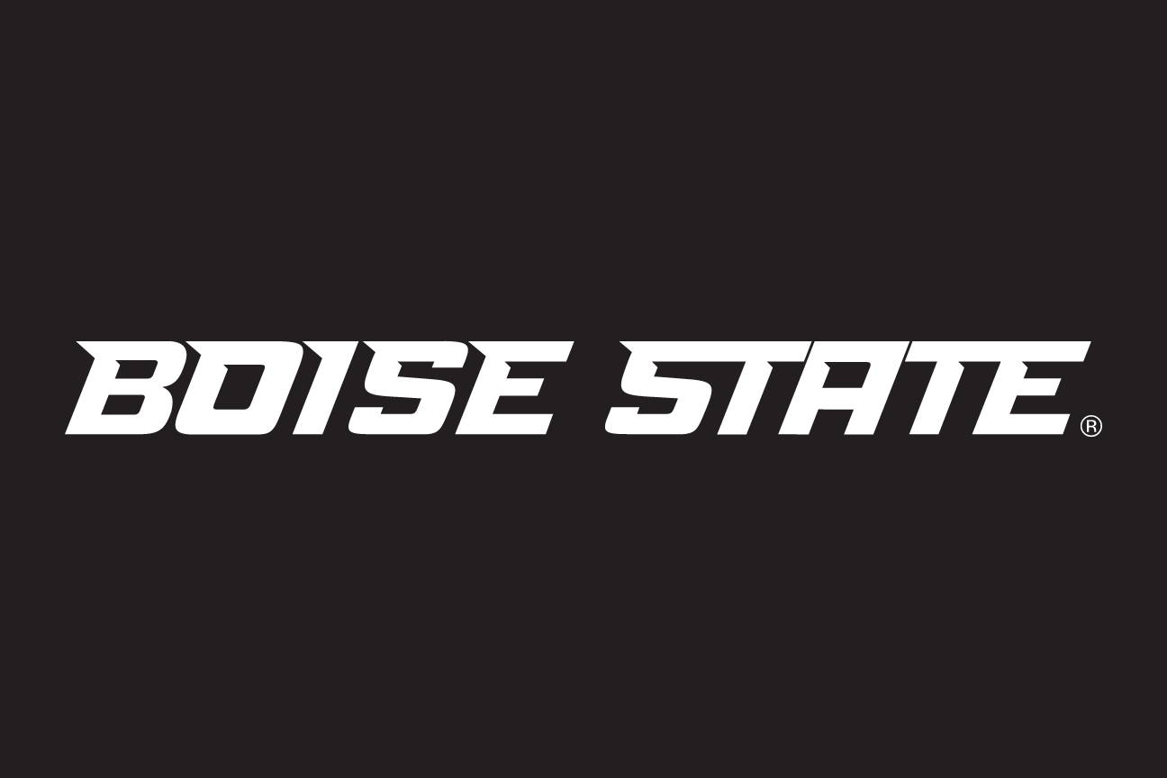 Boise State Word Mark, white one-color on dark grey variant, cell 39