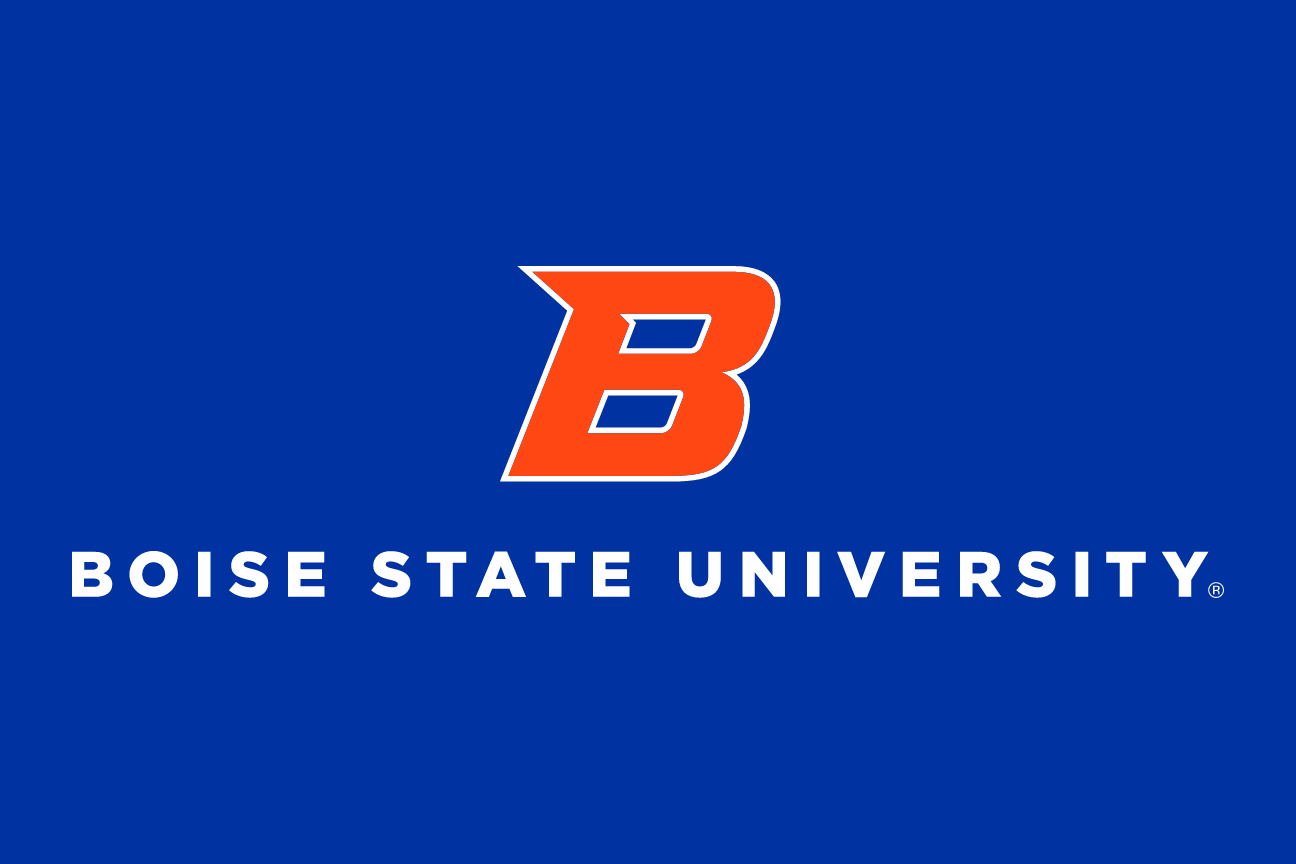 Primary Academic Mark, orange and white on navy variant, cell 48
