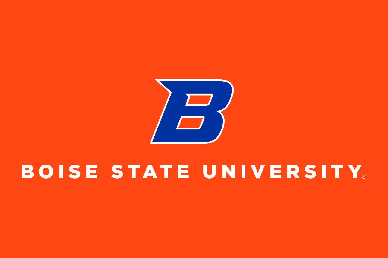 Primary Academic Mark, white and navy on orange variant, cell 49