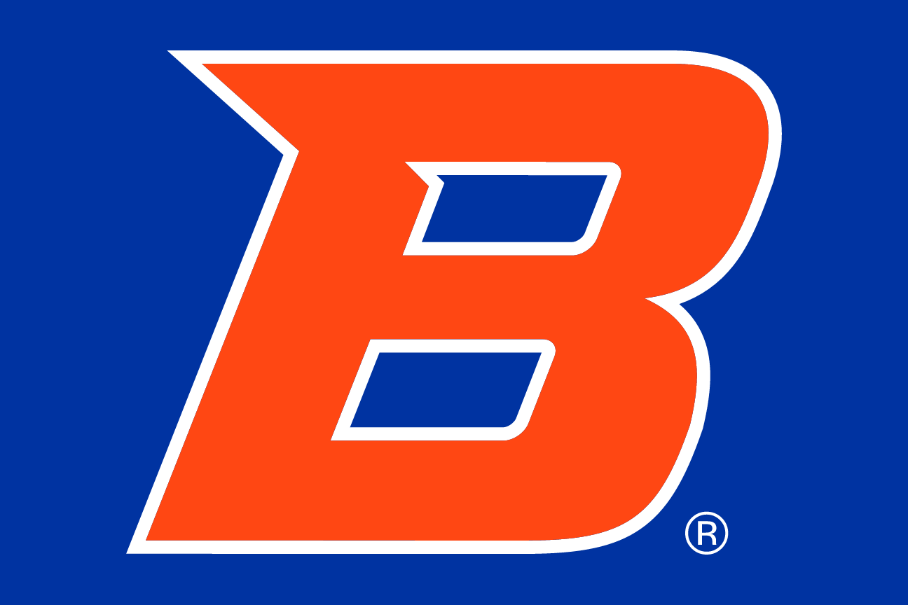 B Academic Mark, orange and white on navy variant, cell 69