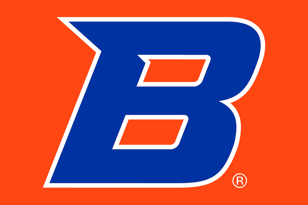 B Academic Mark, white and navy on orange variant, cell 70