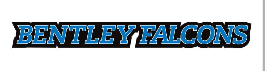 Bentley Falcons wordmark, blue/black, small variant, cell 21