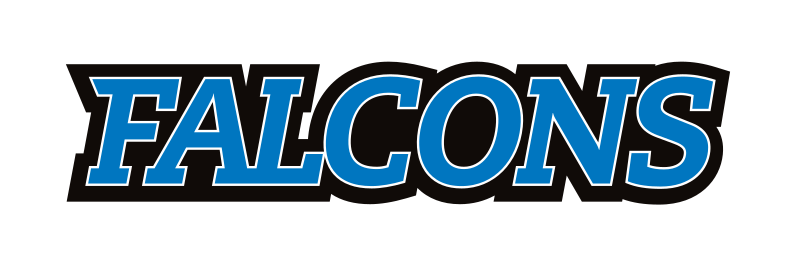 Falcons wordmark, blue/black variant, cell 20