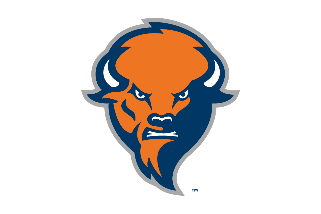 Bison head logo, mascot head only variant, cell 32