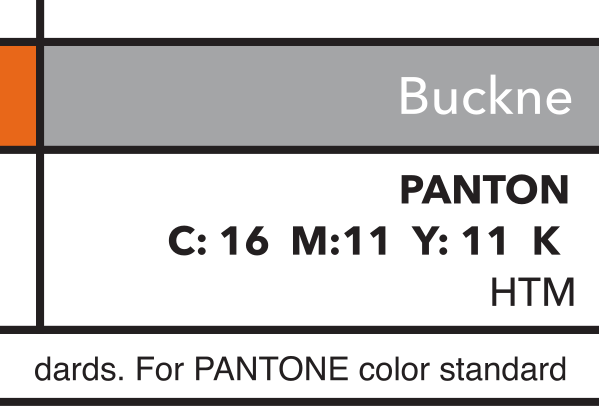 B lettermark with bison, two color variant