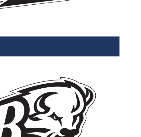 Bison wordmark, blue/orange variant