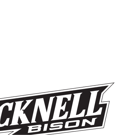 Bison wordmark, black/white variant