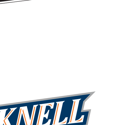 Bucknell Bison wordmark, blue/orange variant