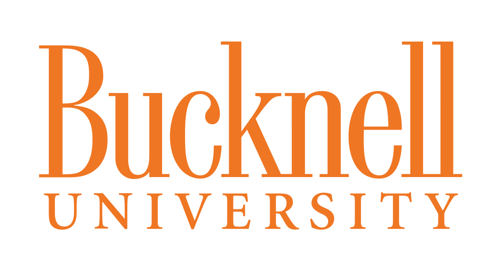 Bucknell University wordmark, orange variant, cell 48
