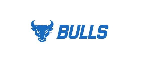 bull head next to BULLS wordmark, blue variant, cell 77