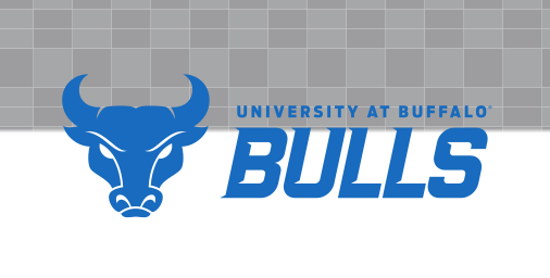 Bulls Spiritmark, blue, horizontal lockup variant, cell 93
