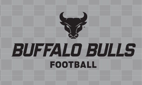 Buffalo Bulls Spiritmark, black on gray variant, cell 119