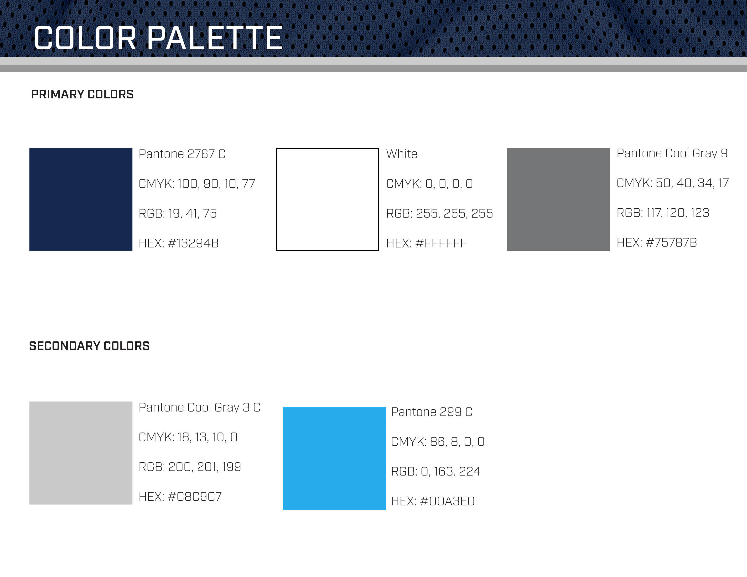 Full Page Guideline Sheet, Standard variant