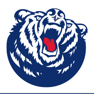 Bruiser logo, color variant, cell 23