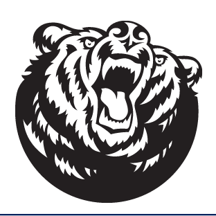 Bruiser logo, black variant, cell 24