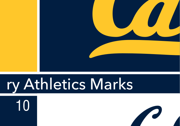 C with bear, gold on navy variant, cell 10