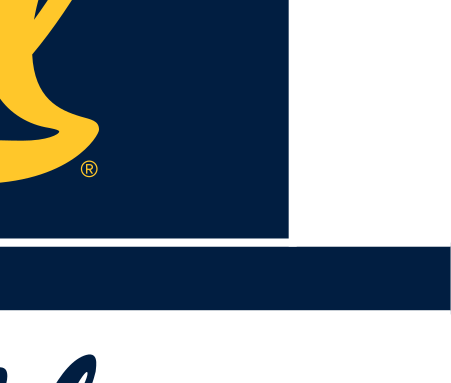 bear silhouette, gold on navy variant, cell 14