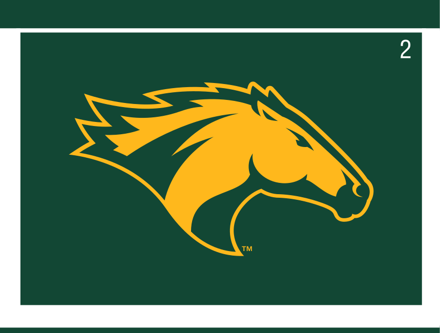 Bronco head, full color on green variant, cell 2