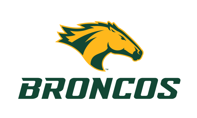 Bronco head with BRONCOS wordmark, full color variant, cell 7