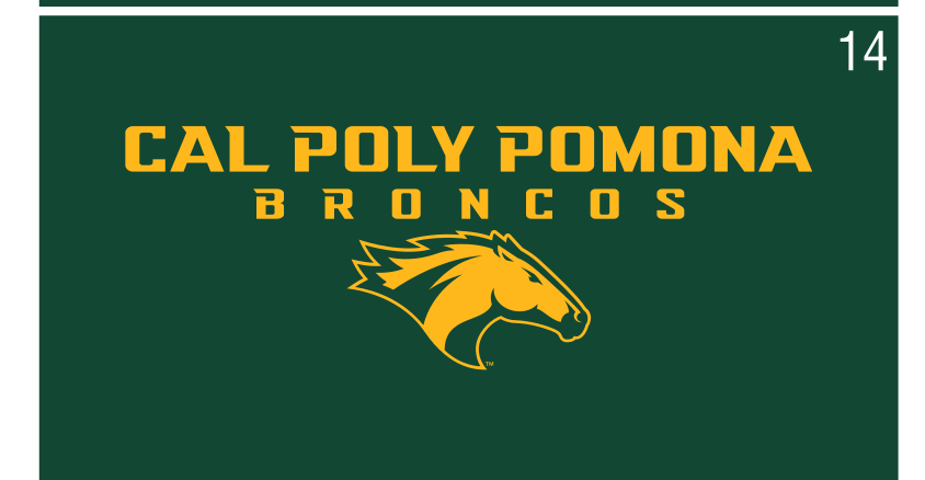 CAL POLY POMONA BRONCOS wordmark with Bronco head, full color on green variant, cell 14