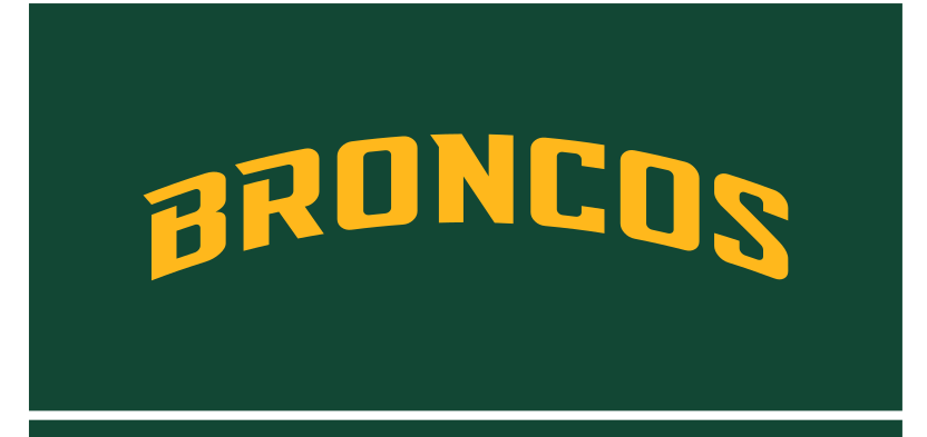 Broncos wordmark, arched gold on green variant, cell 26