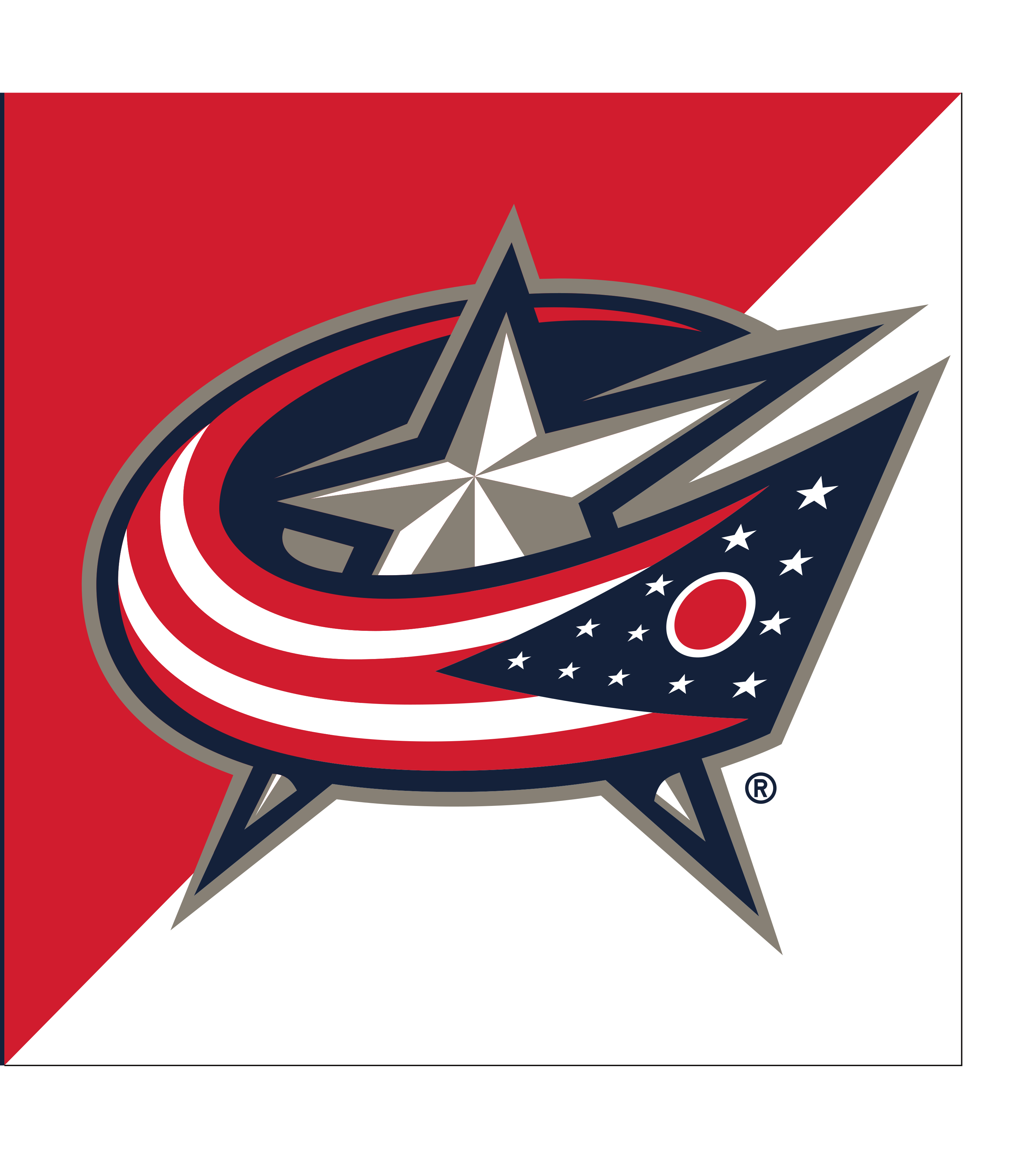 Columbus Blue Jackets primary logo, full color with registered trademark on split background variant