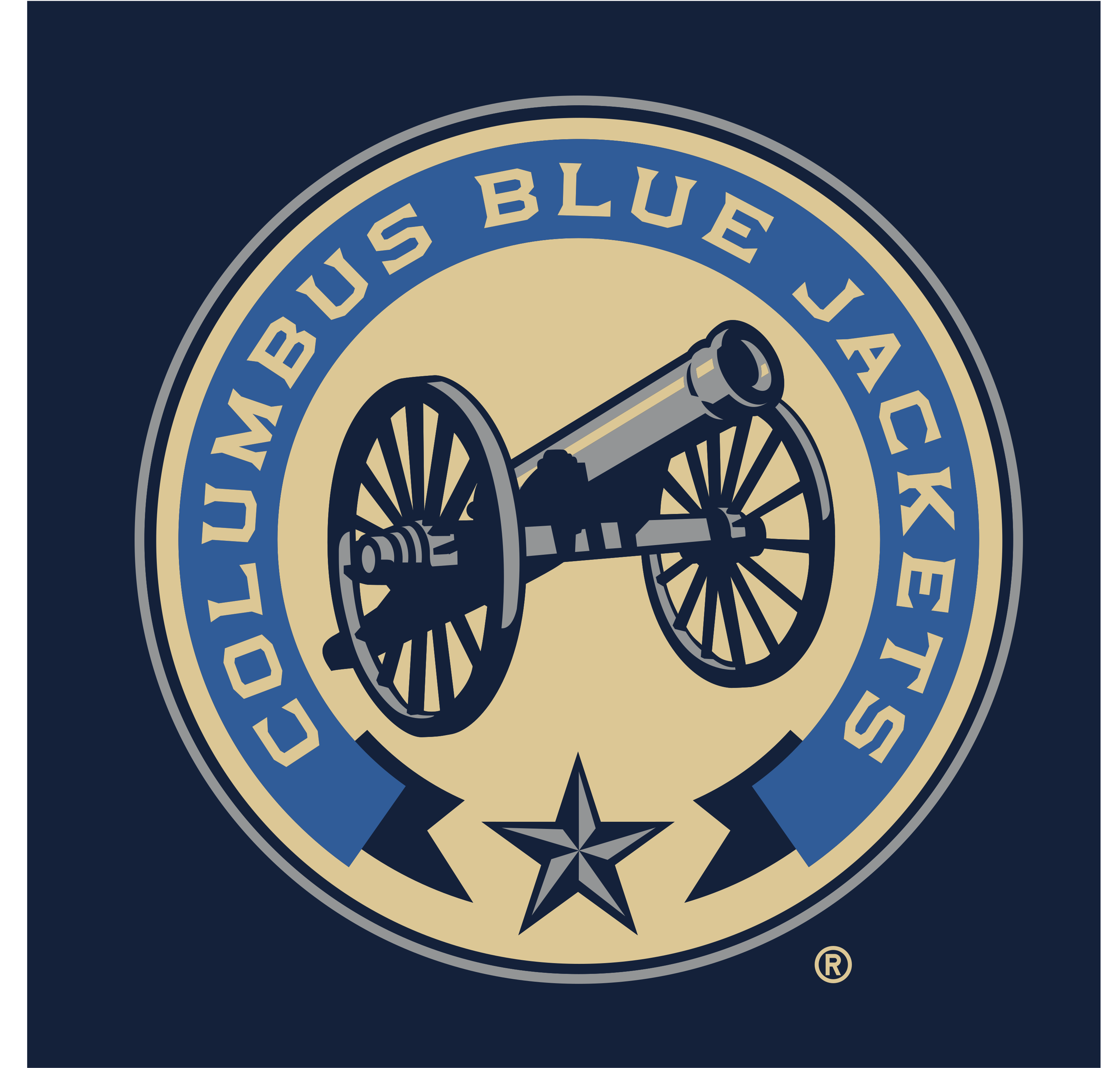 secondary logo, full color with registered trademark variant